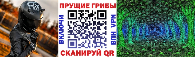 Купить  Берёзовский  Галлюциногенные грибы прущие грибы 